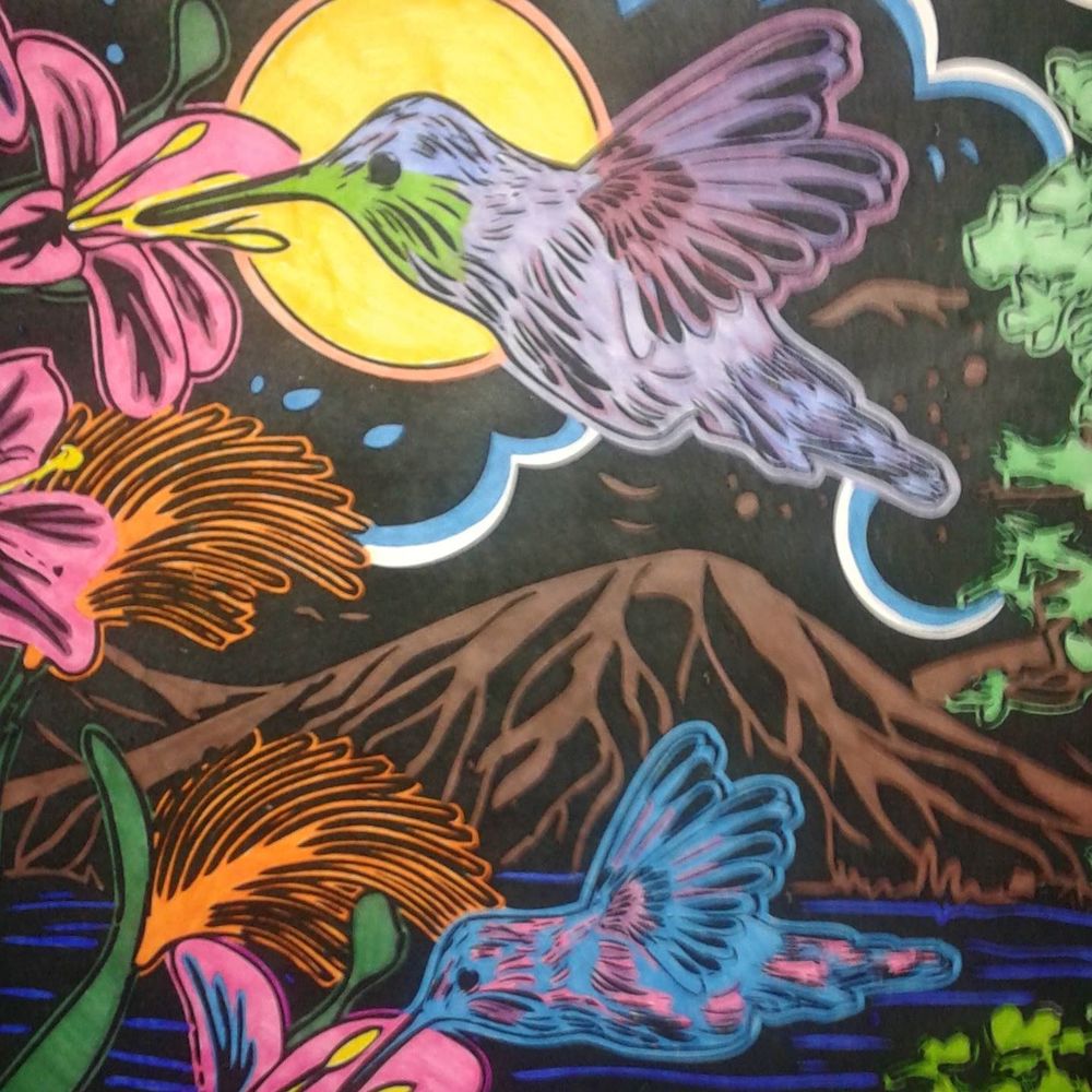 Meet your Posher, Shannon